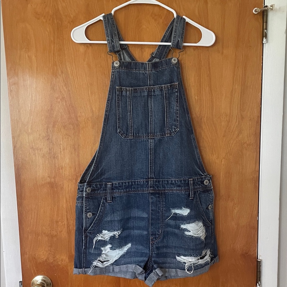 AE Distressed Denim Shortalls